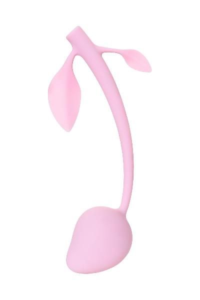 Розовый вагинальный шарик Aster от Eromantica