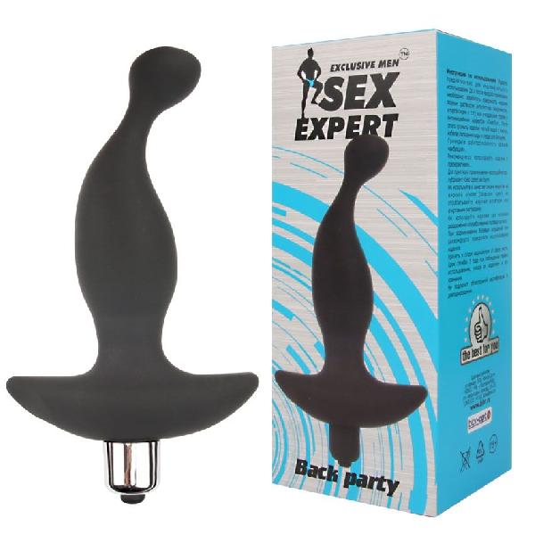 Чёрный вибратор для массажа простаты Sex Expert Back Party - 13,5 см. от Bior toys