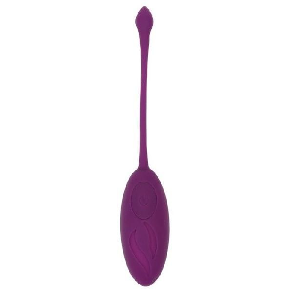 Фиолетовое виброяйцо «Оки-Чпоки» с пультом ДУ от Сима-Ленд
