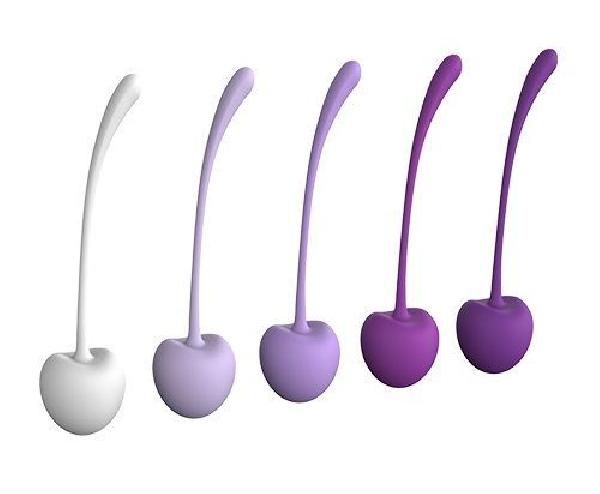 Набор из 5 фиолетово-белых шариков CHERRY KEGEL EXERCISERS от Dream Toys