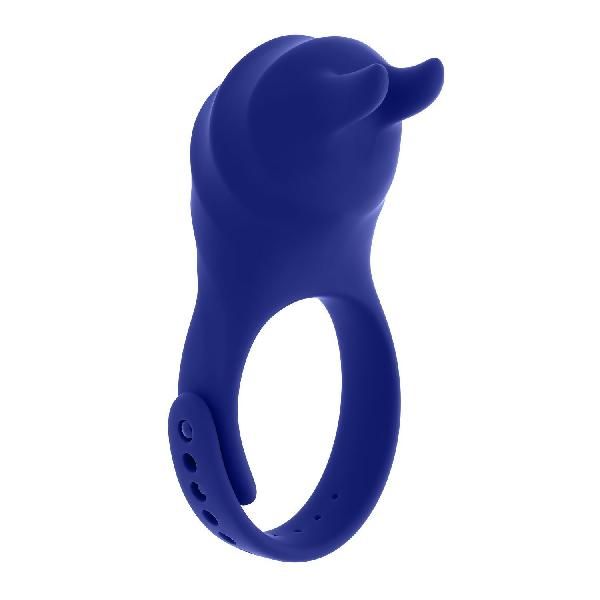 Синее эрекционное виброкольцо с клиторальной подушечкой и пультом ДУ Adjustable Fun Ring от Zero Tolerance