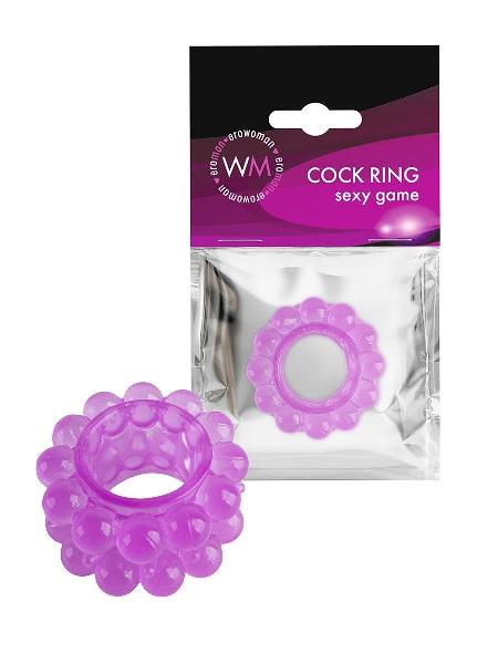 Лиловое эрекционное кольцо с 2 рядами стимулирующих шариков от Erowoman-Eroman Лиловое эрекционное кольцо с 2 рядами стимулирующих шариков от Erowoman-Eroman