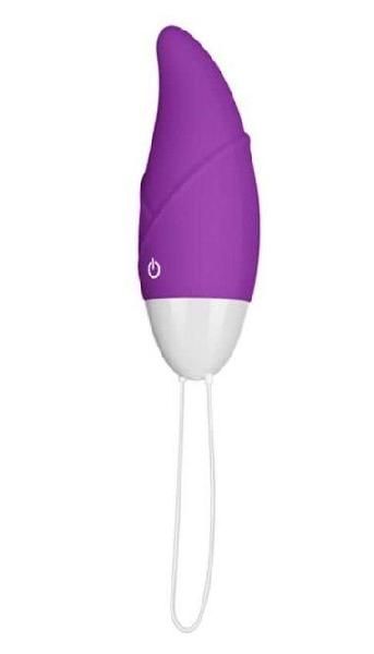Фиолетовое виброяйцо с пультом ДУ IJOY Remote Control Egg от Lovetoy