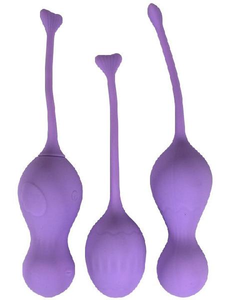 Сиреневый набор вагинальных шариков Heidi от Winyi