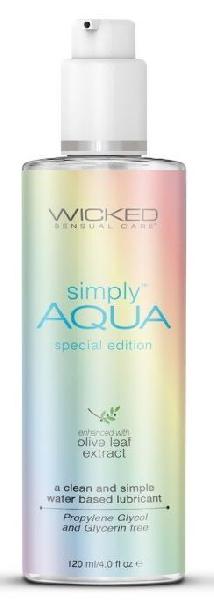 Легкий лубрикант на водной основе Aqua Special Edition - 120 мл. от Wicked