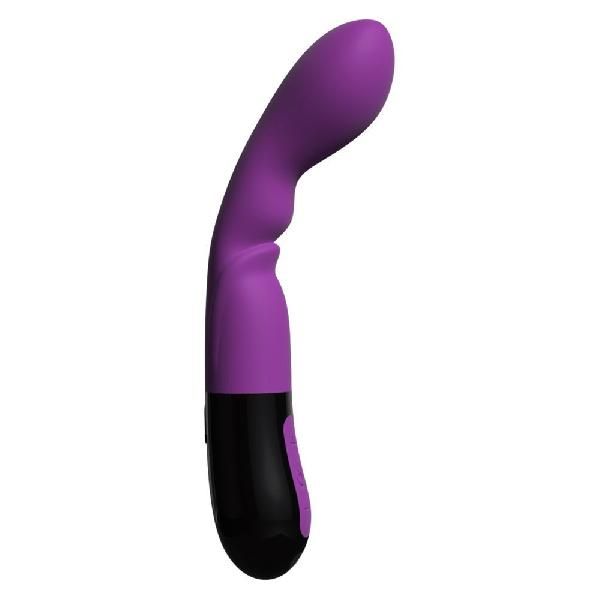 Фиолетовый вибратор Adrien Lastic Nyx 2.0 - 20,7 см. от Adrien Lastic