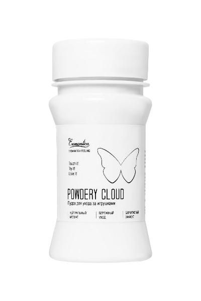 Пудра для ухода за игрушками Powdery Cloud с нейтральным ароматом - 40 гр. от Eromantica