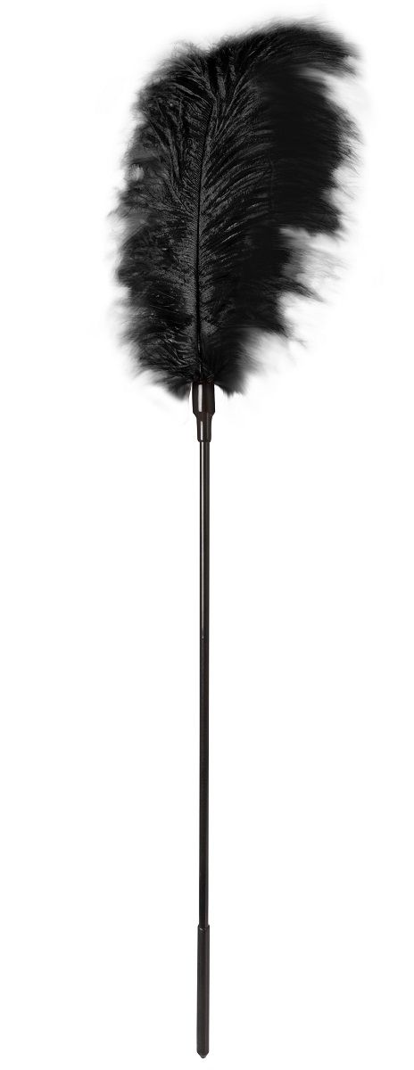 Стек с большим чёрным пером Large Feather Tickler - 65 см. от Blush Novelties