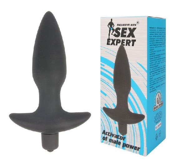 Анальная пробка Sex Expert с вибрацией - 10,5 см. от Bior toys