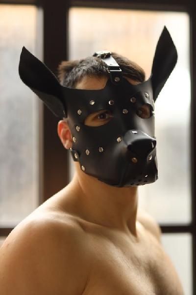 Эффектная маска собаки с металлическими заклепками от БДСМ Арсенал