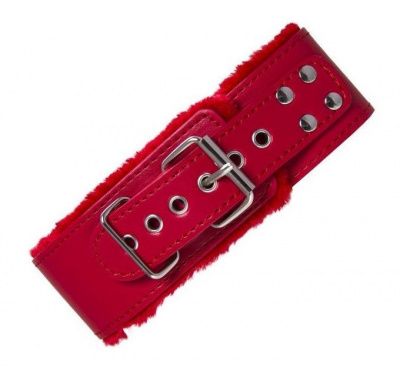 Красный ошейник с металлической фурнитурой от Toyfa Basic