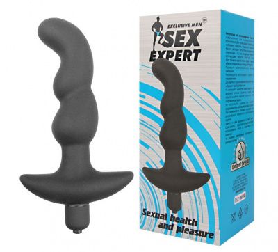 Чёрный анальный вибратор Sexual Health and Pleasure - 11,8 см. от Bior toys