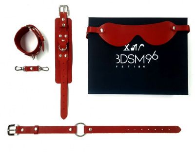 БДСМ-набор в красном цвете  Госпожа  от BDSM96