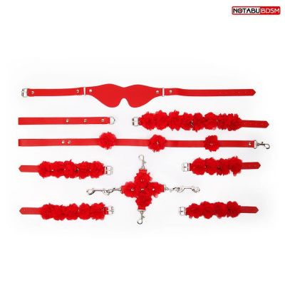 Стильный красный набор БДСМ в сумке от Bior toys