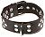 Ошейник с кольцом X-Play Collar With D-ring от Allure Lingerie