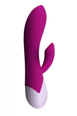 Розовый вибростимулятор Dolphin с клиторальным отростком - 19,3 см. от RestArt
