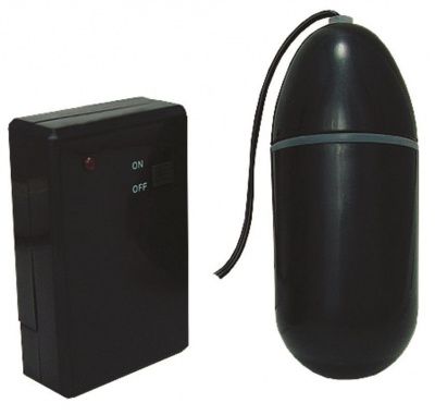 Чёрное виброяйцо Waterproof Remote Control Bullet с пультом ДУ от Pipedream