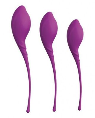 Набор из 3 фиолетовых вагинальных шариков PLEASURE BALLS   EGGS KEGEL EXERCISE SET от Dream Toys